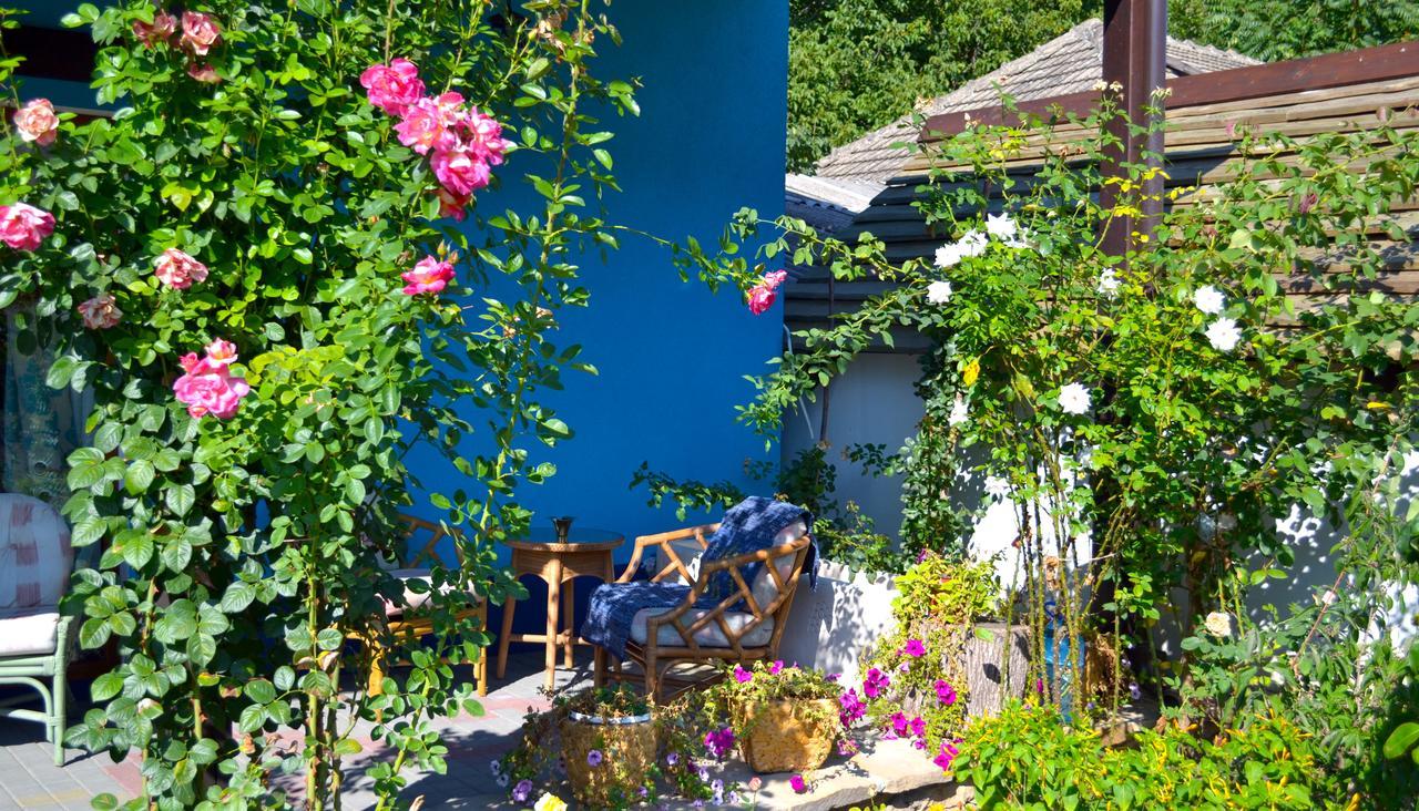 Resedinta Rotundu Bed & Breakfast Butuceny Exterior photo